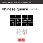 花梨　かりん　野菜や果物の名前（漢字表記）を角字で表現してみました。該当する植物についても簡単に解説しています。