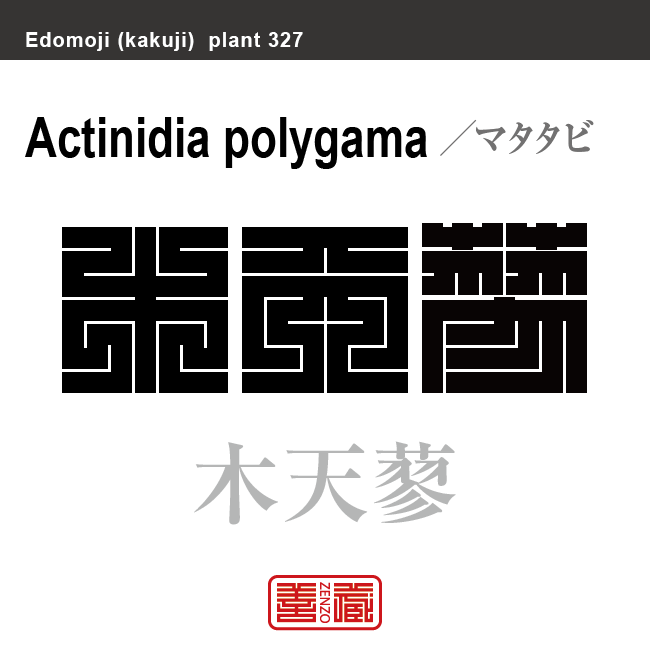 木天蓼　マタタビ　花や植物の名前（漢字表記）を角字で表現してみました。該当する植物についても簡単に解説しています。