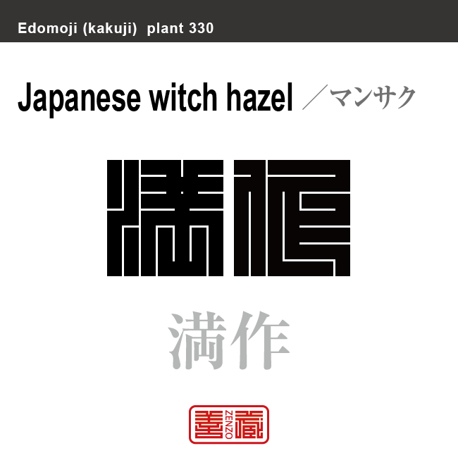 金縷梅 満作　マンサク　花や植物の名前（漢字表記）を角字で表現してみました。該当する植物についても簡単に解説しています。