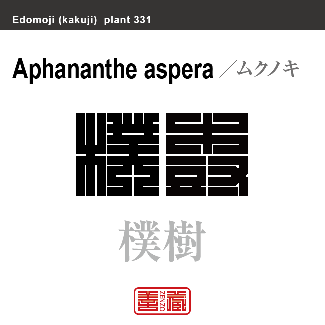 樸樹　ムクノキ　花や植物の名前（漢字表記）を角字で表現してみました。該当する植物についても簡単に解説しています。