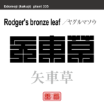 矢車草　ヤグルマソウ　花や植物の名前（漢字表記）を角字で表現してみました。該当する植物についても簡単に解説しています。