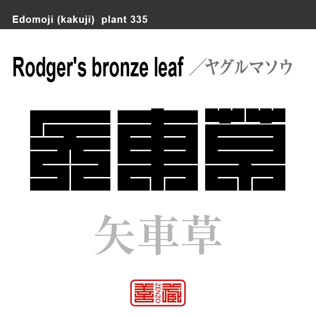 矢車草　ヤグルマソウ　花や植物の名前（漢字表記）を角字で表現してみました。該当する植物についても簡単に解説しています。