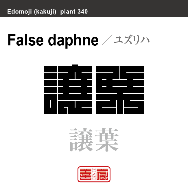 譲葉　ユズリハ　花や植物の名前（漢字表記）を角字で表現してみました。該当する植物についても簡単に解説しています。