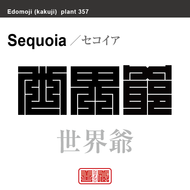 世界爺　セコイア　花や植物の名前（漢字表記）を角字で表現してみました。該当する植物についても簡単に解説しています。